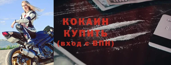 a pvp Бородино