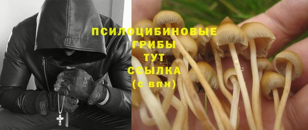 стафф Бугульма
