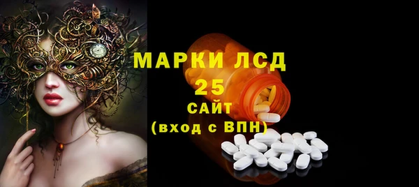 a pvp Бородино