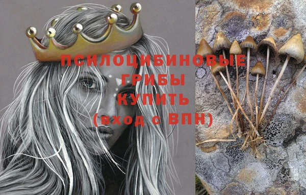 apvp Бронницы