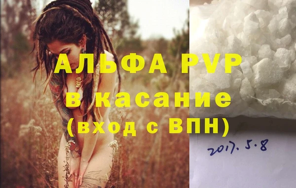 a pvp Бородино