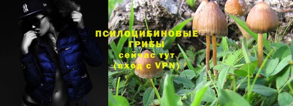 apvp Бронницы