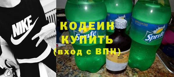 a pvp Бородино